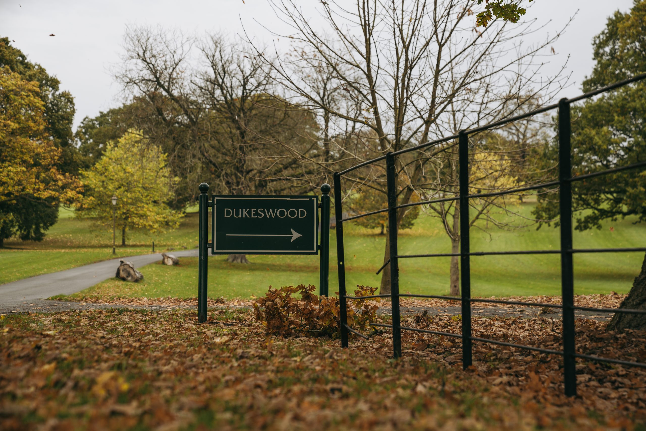Wynyard Autumn 02 11 22 197 Scaled at Wynyard Hall